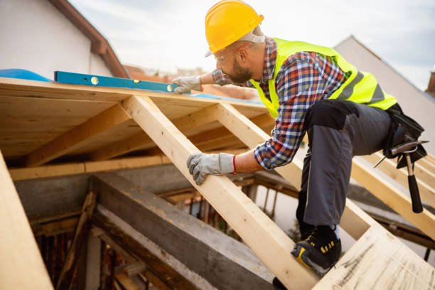 Best Roof Gutter Cleaning  in Raymond, WI